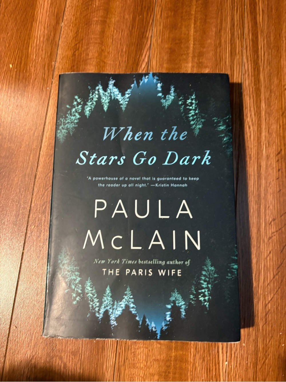 When the Stars Go Dark by Paula McLain - Dark Blue & Teal Hardcover